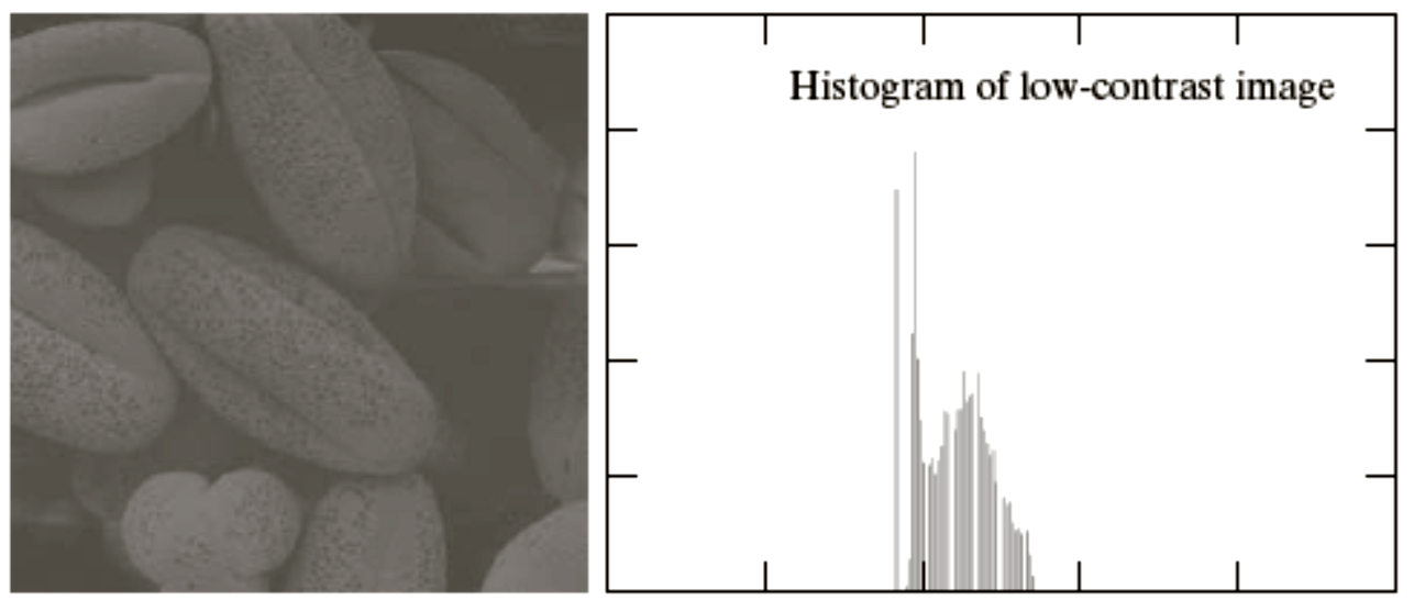 Basic Relationships Between Pixels | Digital Image Processing | cuitutorial