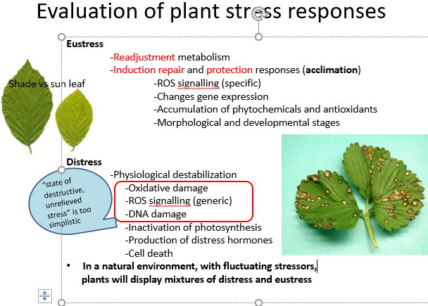 Plant stress response 