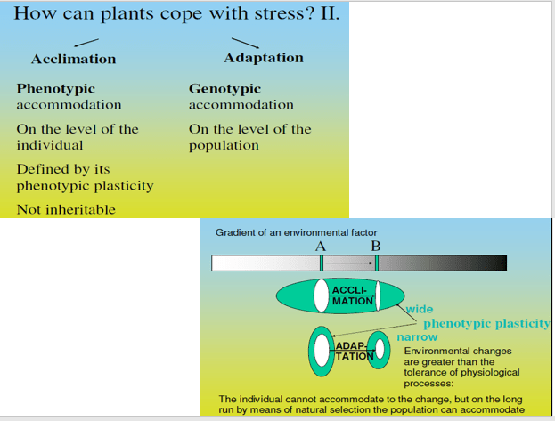 How plant cope with stress 