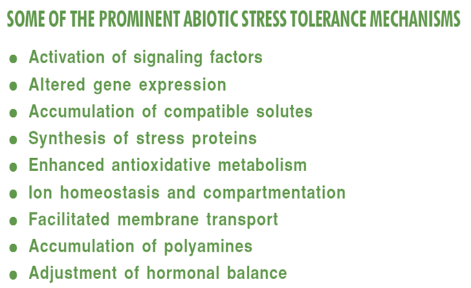 Prominent Abiotic Stress