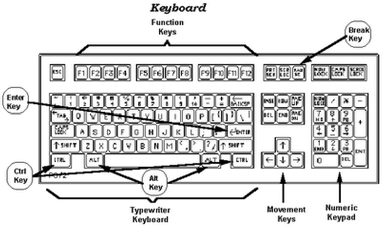 Introduction to ICT (Python Programming) → Input Devices in computer ...